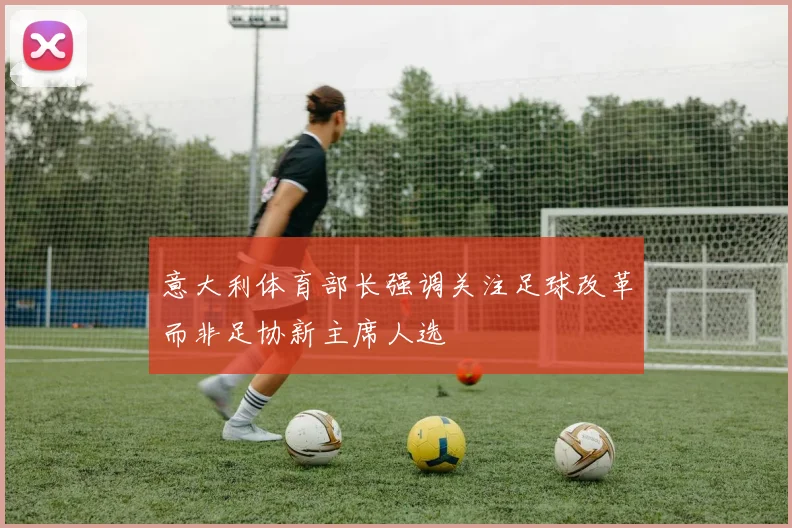 意大利体育部长强调关注足球改革而非足协新主席人选